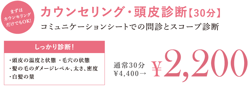 カウンセリング・頭皮診断