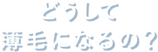 どうして薄毛になるの？