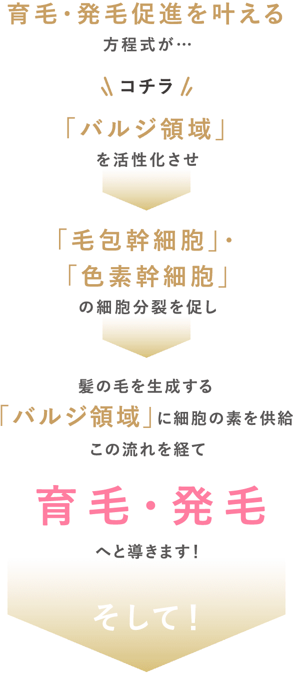 毛髪再生を叶える方程式