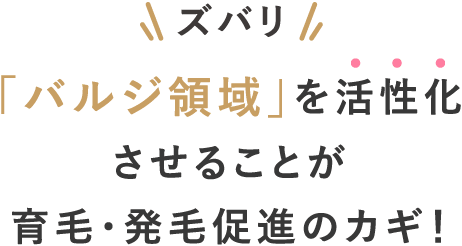 「バルジ領域」を活性化させることが毛髪再生のカギ！