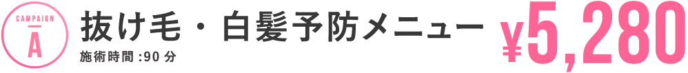 初回限定キャンペーン！