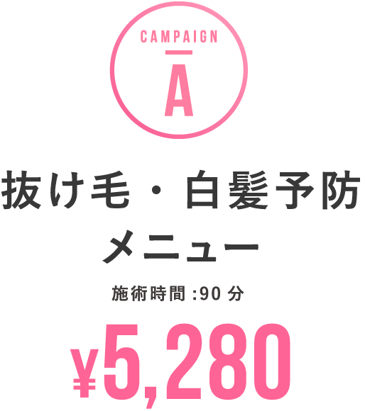 初回限定キャンペーン！