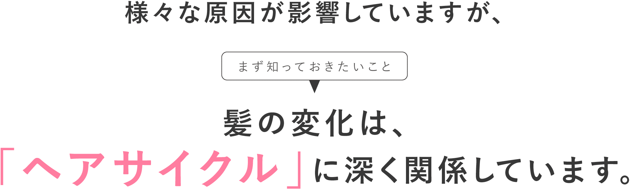 髪の変化は、「ヘアサイクル」に深く関係しています。