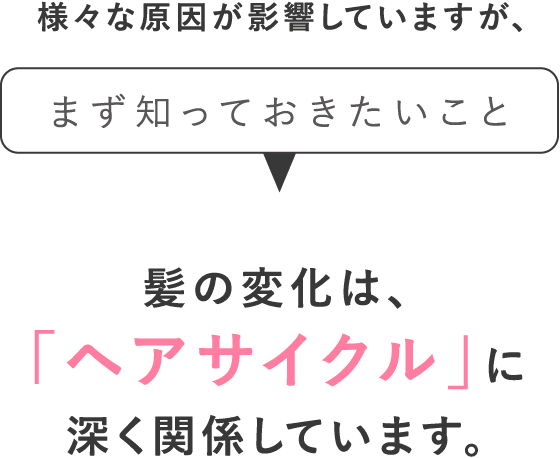 髪の変化は、「ヘアサイクル」に深く関係しています。