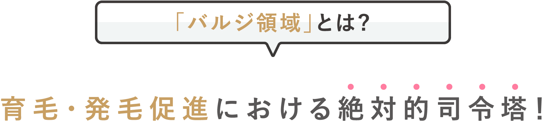 「バルジ領域」とは毛髪再生における絶対的司令塔！