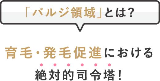 「バルジ領域」とは毛髪再生における絶対的司令塔！