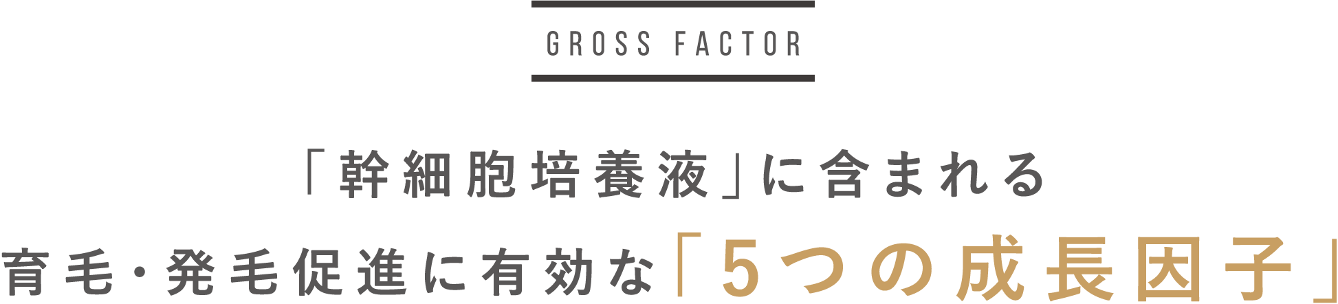 「幹細胞培養液」に含まれる発毛に有効な「5つの成長因子」