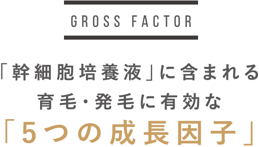 「幹細胞培養液」に含まれる発毛に有効な「5つの成長因子」