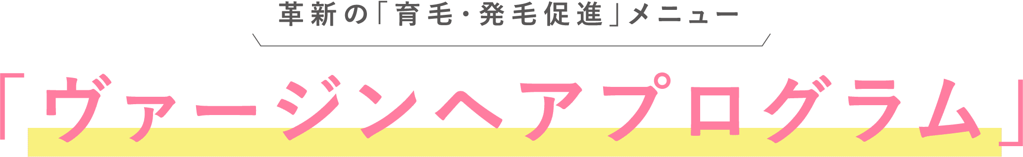 「ヴァージンヘアプログラム」