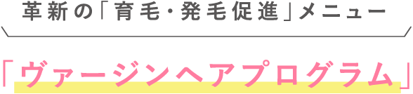 「ヴァージンヘアプログラム」