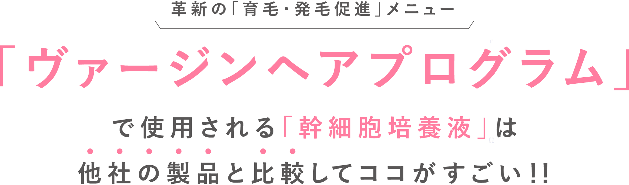 「ヴァージンヘアプログラム」