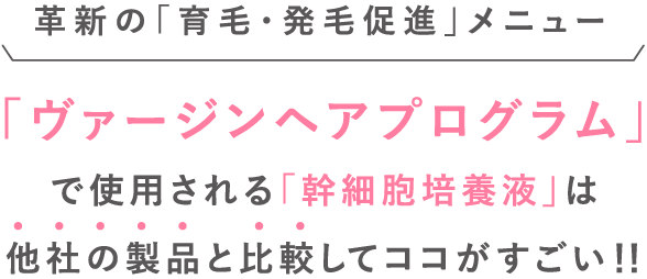 「ヴァージンヘアプログラム」